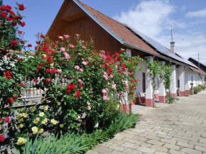 Penzion Na výminku, Veselí Nad Moravou